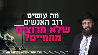 איך מתקדמים בחיים בלי לחץ של תחרות עם הסביבה? | פרשת תזריע (הרב יואב אקריש) - התמונה מוצגת ישירות מתוך אתר האינטרנט יוטיוב. זכויות היוצרים בתמונה שייכות ליוצרה. קישור קרדיט למקור התוכן נמצא בתוך דף הסרטון איך מתקדמים בחיים בלי לחץ של תחרות עם הסביבה? | פרשת תזריע (הרב יואב אקריש) - התמונה מוצגת ישירות מתוך אתר האינטרנט יוטיוב. זכויות היוצרים בתמונה שייכות ליוצרה. קישור קרדיט למקור התוכן נמצא בתוך דף הסרטון