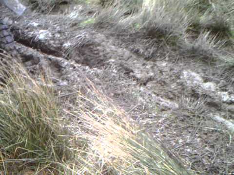 sunday 27/02/2011 part 2