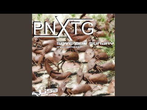 Save Our Sunday (Jan Fleck Remix)