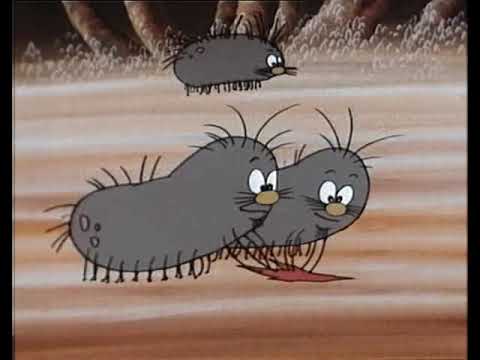 07 La digestione - Siamo fatti così - S1