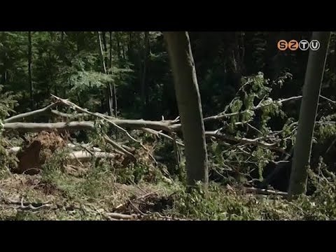 Hatalmas károkat okozott a múlt heti szélvihar a Kőszegi hegység erdeiben
