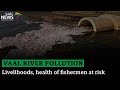 vaal river pollution livelihoods health of fishermen at risk