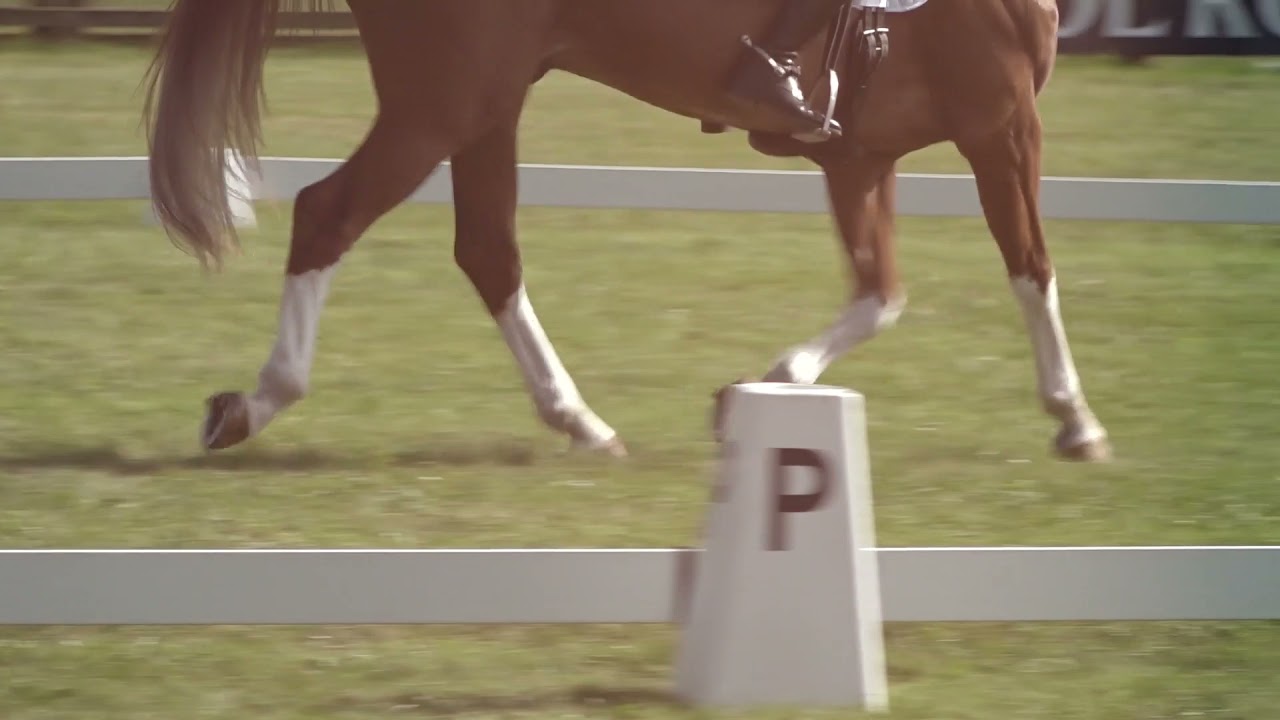 British Eventing - The Gold Standard of EVENTING