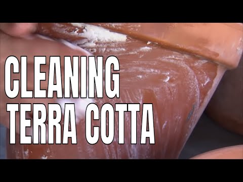 Terrakotta-Behälter reinigen