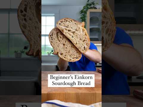 New Recipe: Beginner’s Einkorn Sourdough Bread 🍞 (25% einkorn) #sourdoughbread #sourdough