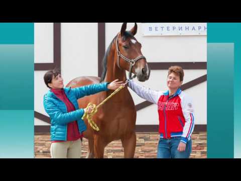 Массаж от остеохондроза грудного отдела видео Шейный остеохондроз спазм сосудов лечение