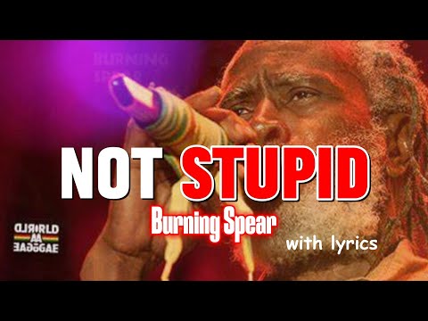 Not Stupid (Lyrics Video) by Burning Spear