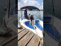 Manobras De Atracação E Desatracacao Básicas Para Lanchas