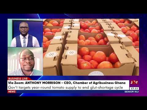 Tomato Self-sufficiency: Govt targets year-round tomato supply to end glut-shortage cycle