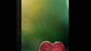 Memori by Bebi Romeo (rie)