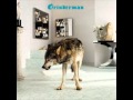 Grinderman - Palaces Of Montezuma 