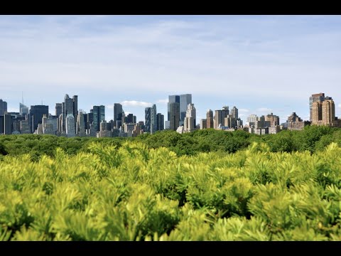 ForestaMi: Milan’s ambitious plan for a greener, cleaner city