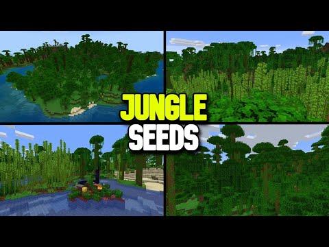 Finaq - 7 BEST Jungle Biome Seeds for Minecraft 1.19+ (Java & Bedrock)