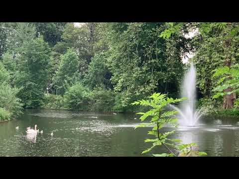 Maag iech daan bij diech   Dorrie Satijn