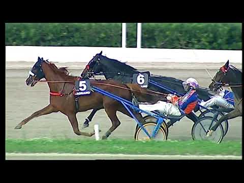 Napoli Trotto 12/11/2021 - 3ª corsa