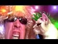 Kitty Kitty Metal Song