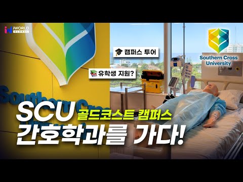 호주 대학 캠퍼스 투어! 간호학과 중심으로 SCU 골드코스트 캠퍼스 둘러보기! (feat.저밀도지역&영주권학과)