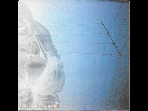 Toadstool ‎- Plastic Buddha (2002) Full Album [Nu Metal / Crossover]