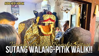 Download lagu KIPRAH SUTANG WALANG SURUP!! LANJUT PITIK WALIK KESURUPAN KERAS, TBBL MERAPI LIVE JOLONTORO mp3