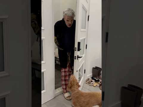 Daughter meets new babysitter for the first time #shorts