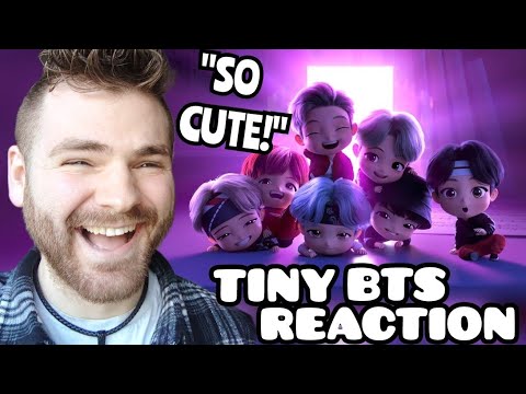 First Time Hearing BTS [TinyTAN | ANIMATION] - "Dream ON" REACTION!