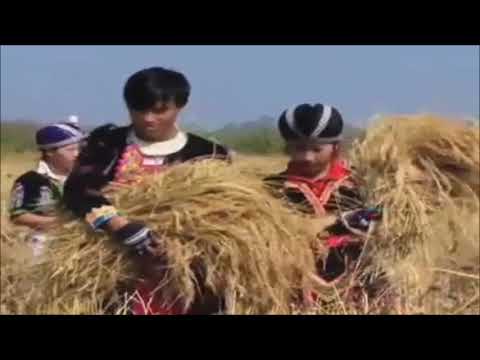 Pachee Chang   Zoo Tsis Sib Phim