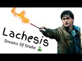 Lachesis Drug Picture Dreams Of Snakes Homoeopathy Bhms Drugpicture Youtube Materiamedica