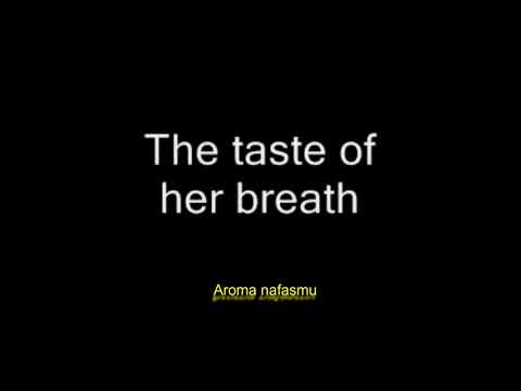 download lagu mp3 mp4 Lirik Maroon 5 I Want Go Home Without You, download lagu Lirik Maroon 5 I Want Go Home Without You gratis, unduh video klip Lirik Maroon 5 I Want Go Home Without You