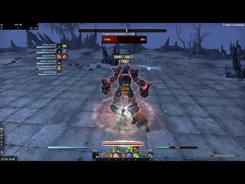 ESO -  Stamina Warden Parse (112k+) - Blackwood