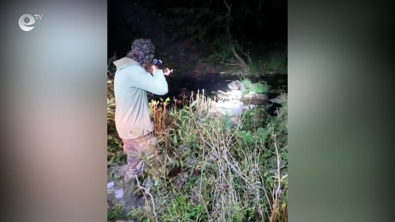 Спасиха ранено мече край смолянското село Кошница