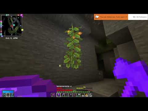 Minecraft - Vault Hunters 1.18.2 - Version 8.0.3 - Episode 49