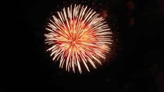 Forest Edge - Theme 3