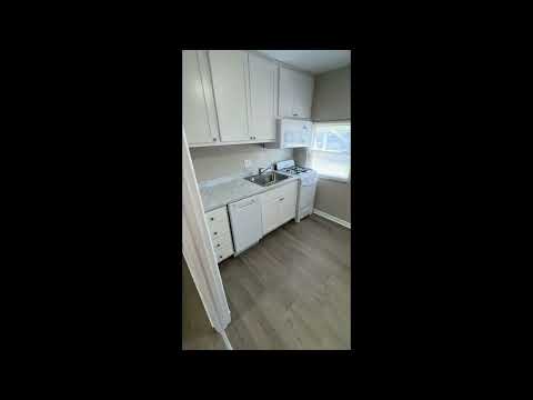 3031indw - Video 2 of 2