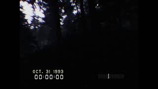試しにやる【Dont scream】