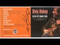 Elvin Bishop - What the Hell Is Going On