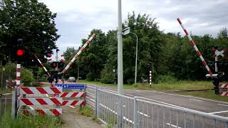 preview picture of video 'Spoorwegovergang Reuver, Railroad / Level Crossing'