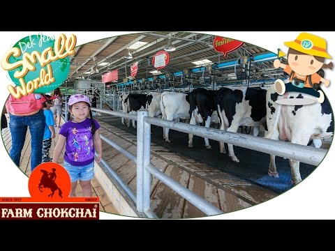Mantra on แรง การฟื้นฟูบ้านแรง