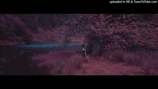 Birdy  Rhodes - Let It All Go - Lyrics