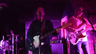 Beecake - Perfect storm live in Glasgow
