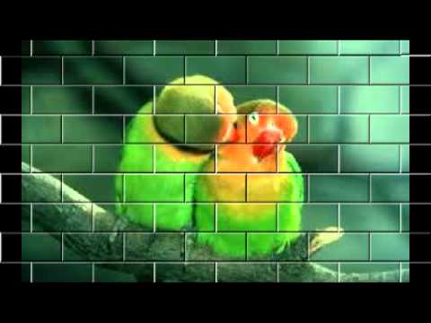 Silence ft Martje 3D FNR ( Pro & Mix By Martje rast )