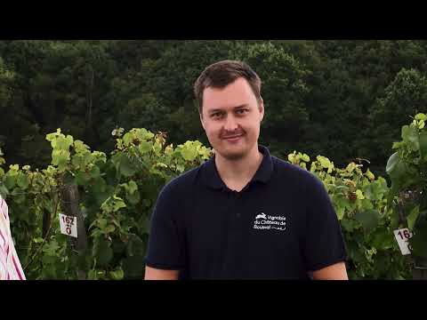 Brabant wallon Millésime - Domaine de Bousval
