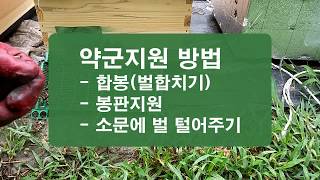 벌 군세고르기, 약군 지원 방법으로 합봉, 봉판지원, 소문에 벌 털어주기
