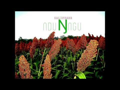 Salif Sarr - "Ndungu" (MomtiGondiMusic) 2017