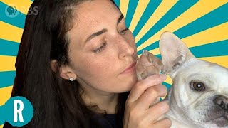 Why Do My Dog’s Paws Smell Like Fritos?