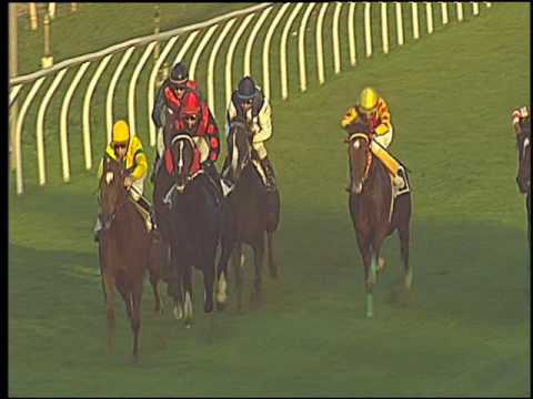 Galoppo 03/11/2016 - 3ª corsa