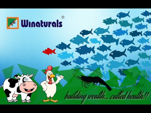 Armour- Fish Feed Supplement