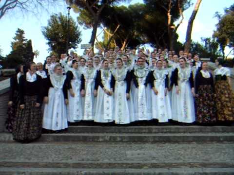 Druschki in Rom ((Laolawelle)  02.02.2011