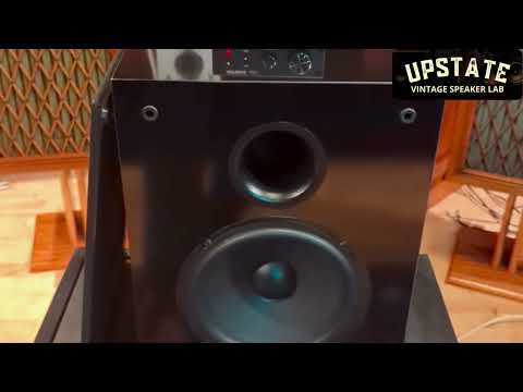 Lab Certified NHT SW1P Passive Subwoofer- Piano Black Finish (1996) image 9
