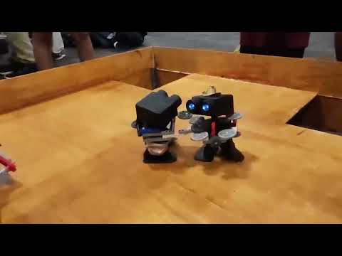 Play Video Youtube Video