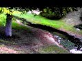 Robbie Reverb - Morning In Elysium Park